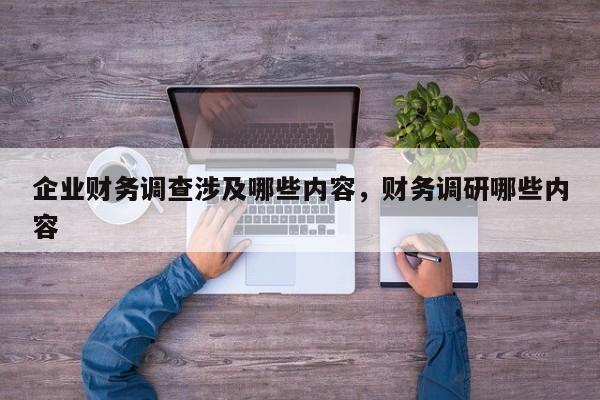 企业财务调查涉及哪些内容，财务调研哪些内容