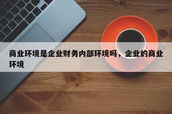 商业环境是企业财务内部环境吗，企业的商业环境