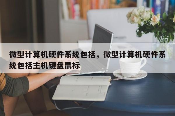 微型计算机硬件系统包括，微型计算机硬件系统包括主机键盘鼠标