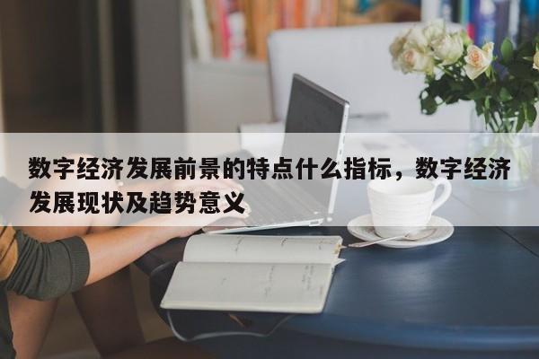 数字经济发展前景的特点什么指标，数字经济发展现状及趋势意义