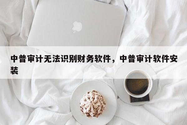 中普审计无法识别财务软件，中普审计软件安装