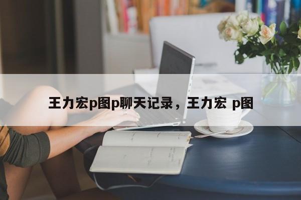 王力宏p图p聊天记录，王力宏 p图