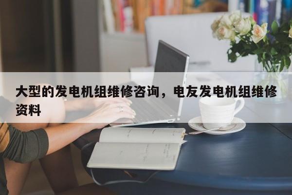 大型的发电机组维修咨询，电友发电机组维修资料