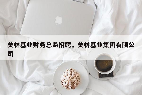 美林基业财务总监招聘，美林基业集团有限公司