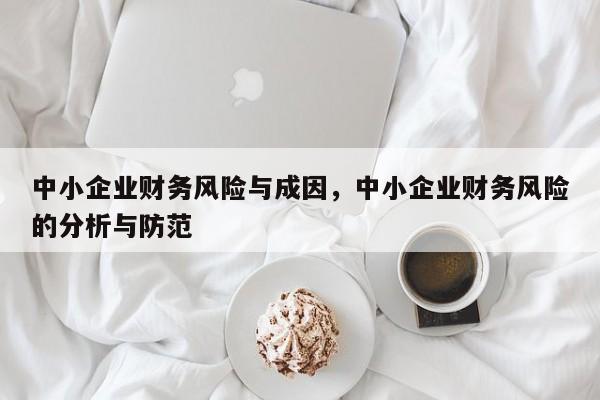 中小企业财务风险与成因，中小企业财务风险的分析与防范