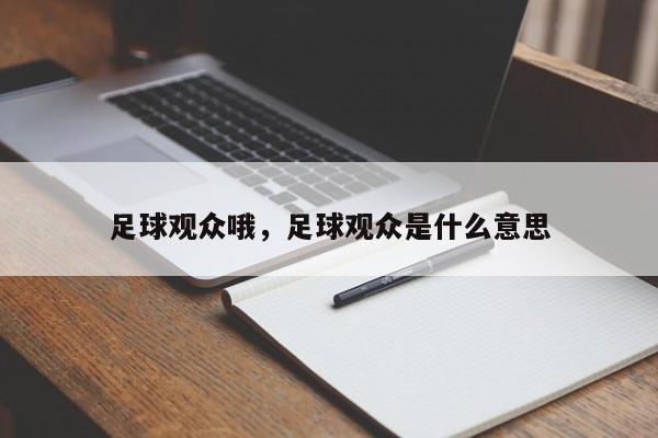 足球观众哦，足球观众是什么意思