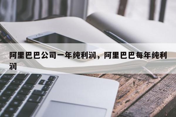 阿里巴巴公司一年纯利润，阿里巴巴每年纯利润