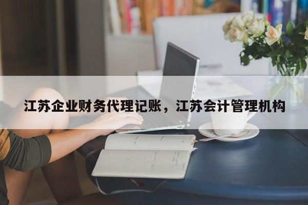 江苏企业财务代理记账，江苏会计管理机构