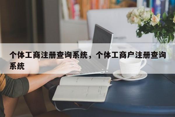 个体工商注册查询系统，个体工商户注册查询系统