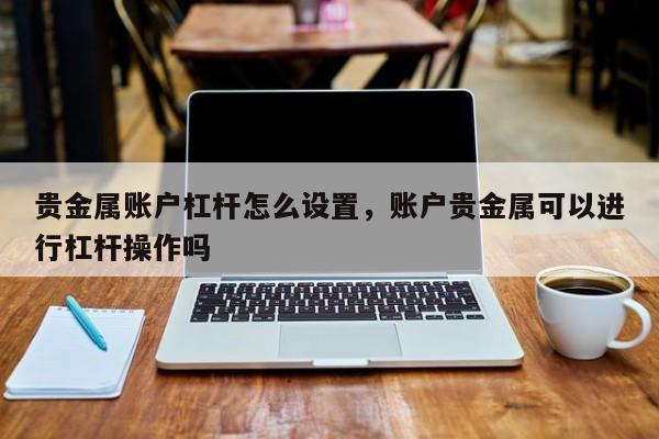 贵金属账户杠杆怎么设置，账户贵金属可以进行杠杆操作吗