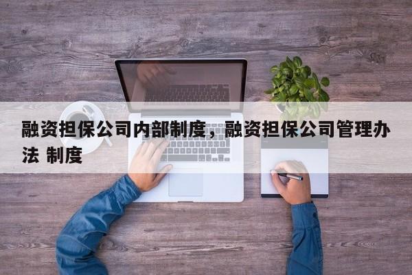 融资担保公司内部制度，融资担保公司管理办法 制度