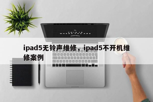 ipad5无铃声维修，ipad5不开机维修案例