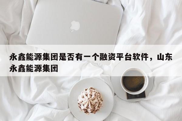 永鑫能源集团是否有一个融资平台软件，山东永鑫能源集团