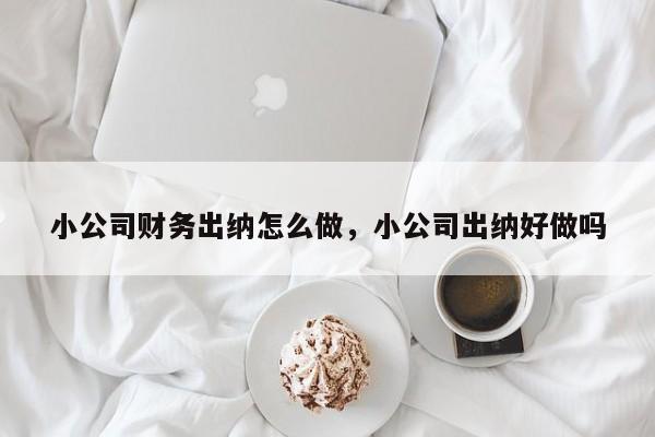 小公司财务出纳怎么做，小公司出纳好做吗