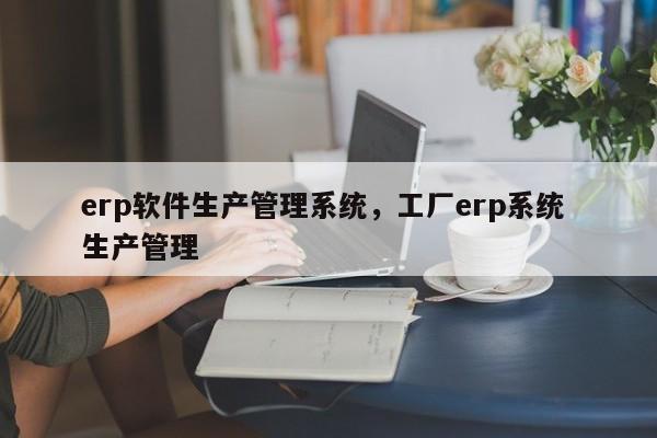 erp软件生产管理系统，工厂erp系统 生产管理