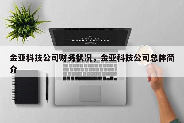 金亚科技公司财务状况，金亚科技公司总体简介