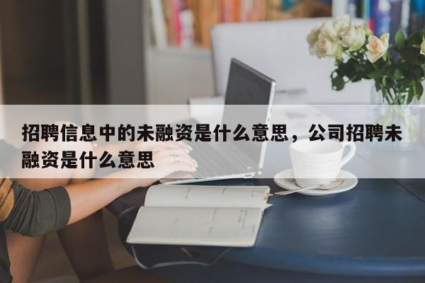 招聘信息中的未融资是什么意思，公司招聘未融资是什么意思