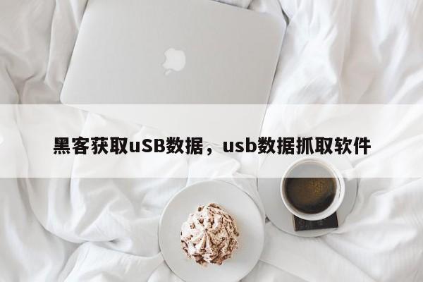 黑客获取uSB数据，usb数据抓取软件