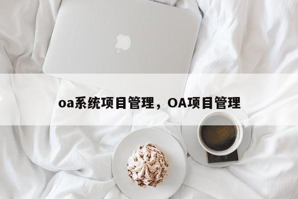 oa系统项目管理，OA项目管理