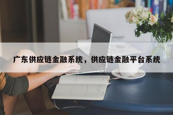 广东供应链金融系统，供应链金融平台系统