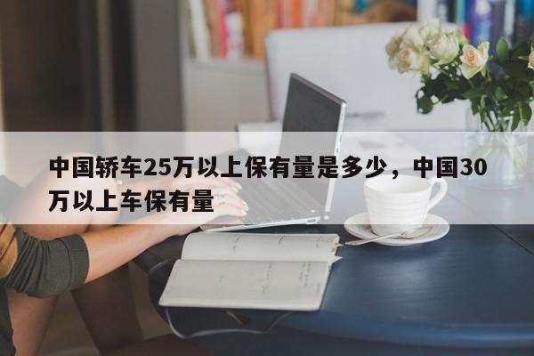 中国轿车25万以上保有量是多少，中国30万以上车保有量