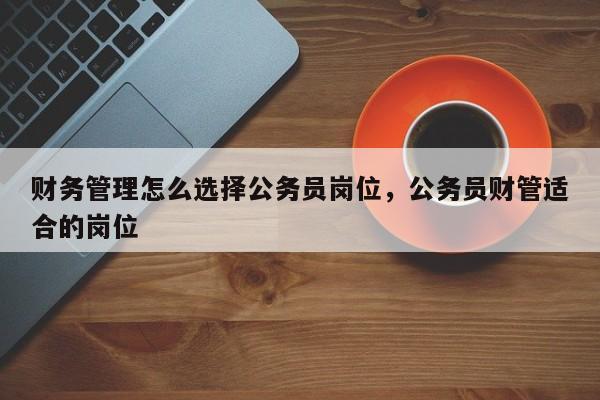 财务管理怎么选择公务员岗位，公务员财管适合的岗位