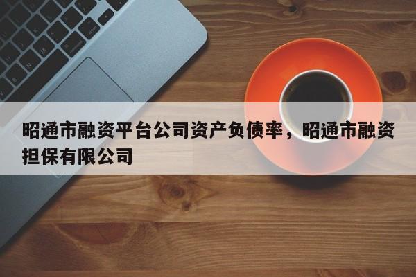 昭通市融资平台公司资产负债率，昭通市融资担保有限公司