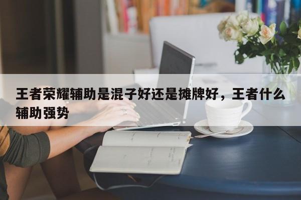 王者荣耀辅助是混子好还是摊牌好，王者什么辅助强势