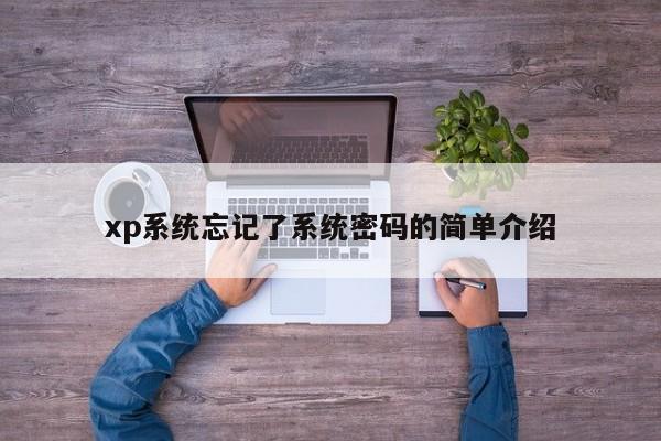 xp系统忘记了系统密码的简单介绍