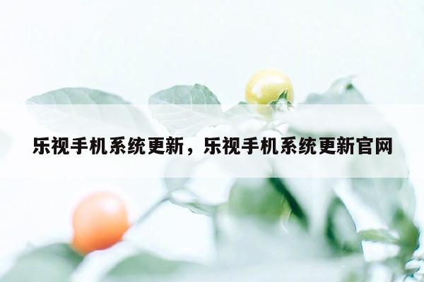 乐视手机系统更新，乐视手机系统更新官网