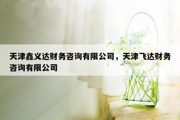 天津鑫义达财务咨询有限公司，天津飞达财务咨询有限公司