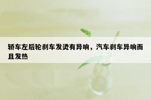 轿车左后轮刹车发烫有异响，汽车刹车异响而且发热