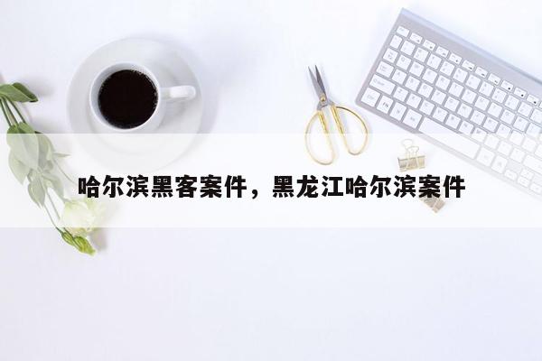 哈尔滨黑客案件，黑龙江哈尔滨案件