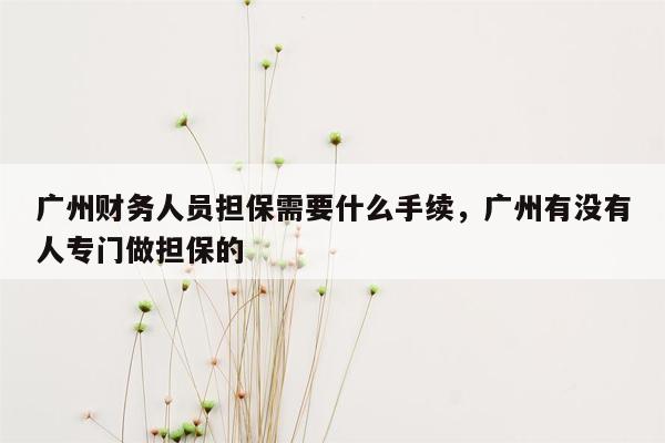 广州财务人员担保需要什么手续，广州有没有人专门做担保的