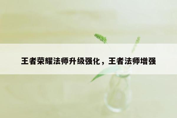 王者荣耀法师升级强化，王者法师增强