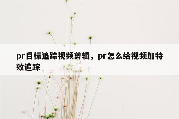 pr目标追踪视频剪辑，pr怎么给视频加特效追踪