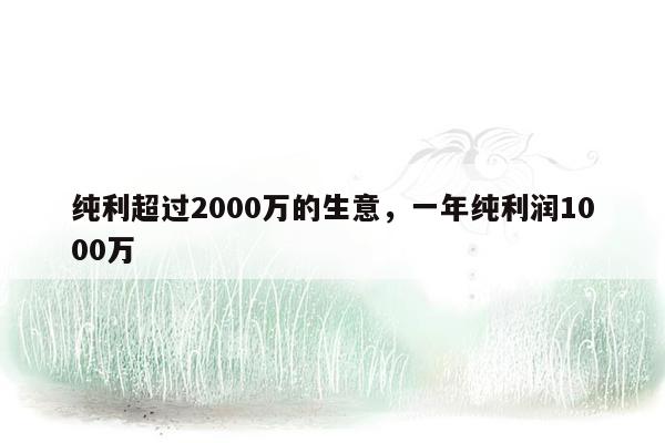 纯利超过2000万的生意，一年纯利润1000万