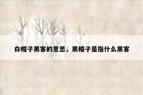 白帽子黑客的意思，黑帽子是指什么黑客