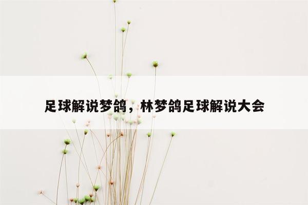 足球解说梦鸽，林梦鸽足球解说大会