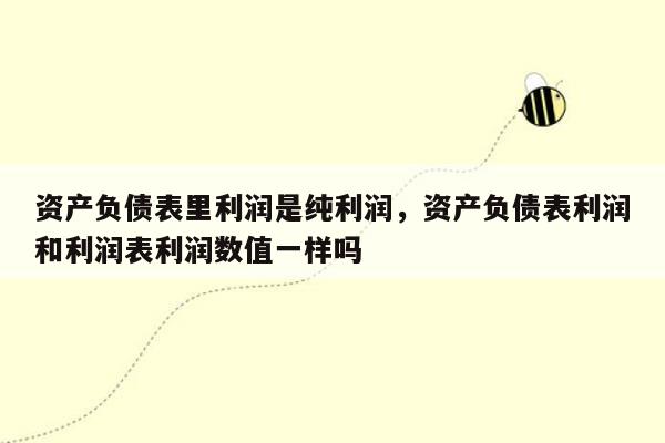 资产负债表里利润是纯利润，资产负债表利润和利润表利润数值一样吗