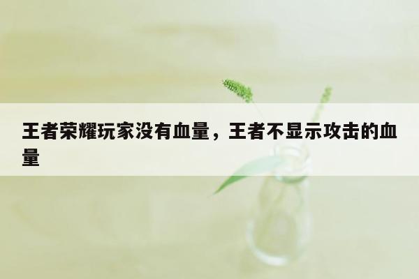 王者荣耀玩家没有血量，王者不显示攻击的血量