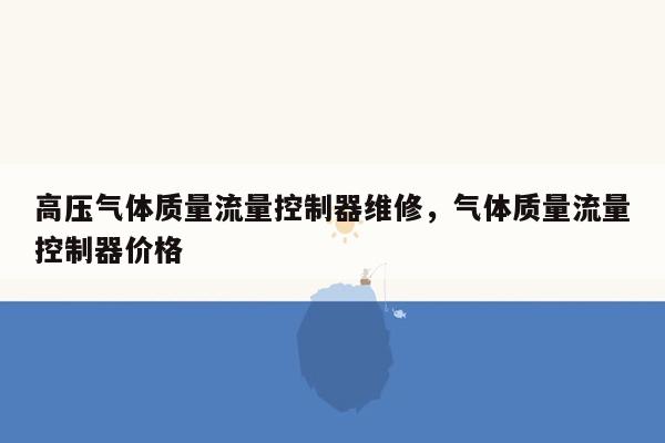 高压气体质量流量控制器维修，气体质量流量控制器价格