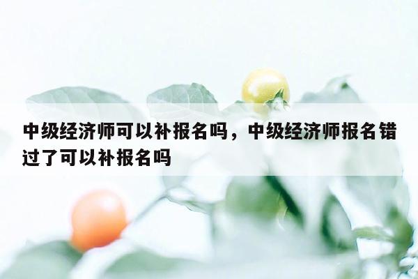 中级经济师可以补报名吗，中级经济师报名错过了可以补报名吗