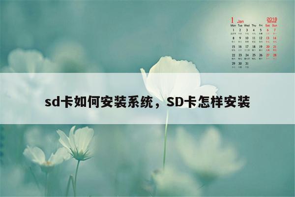 sd卡如何安装系统，SD卡怎样安装