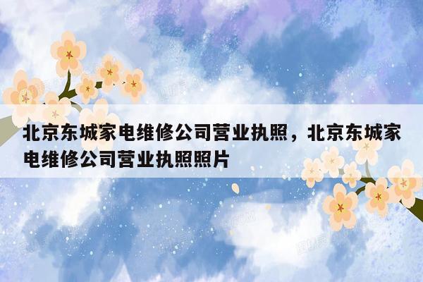 北京东城家电维修公司营业执照，北京东城家电维修公司营业执照照片