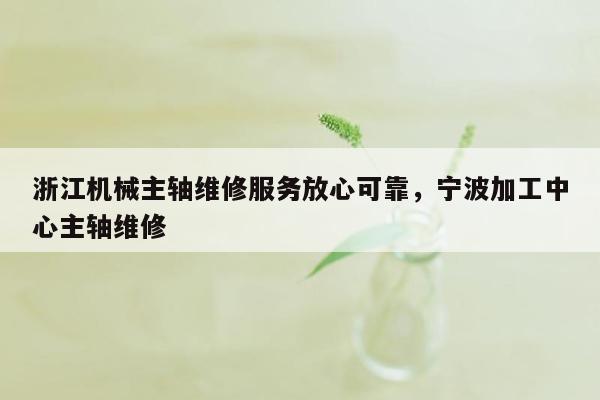 浙江机械主轴维修服务放心可靠，宁波加工中心主轴维修