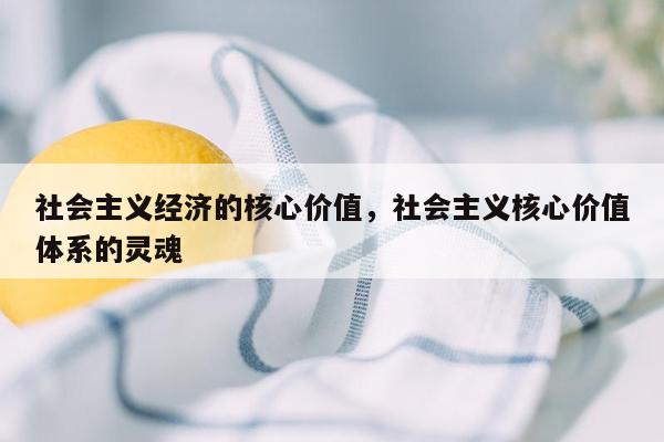 社会主义经济的核心价值，社会主义核心价值体系的灵魂