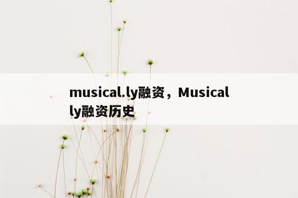 musical.ly融资，Musically融资历史