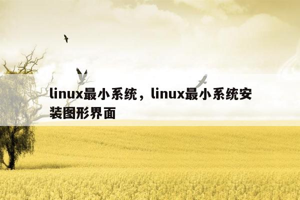 linux最小系统，linux最小系统安装图形界面