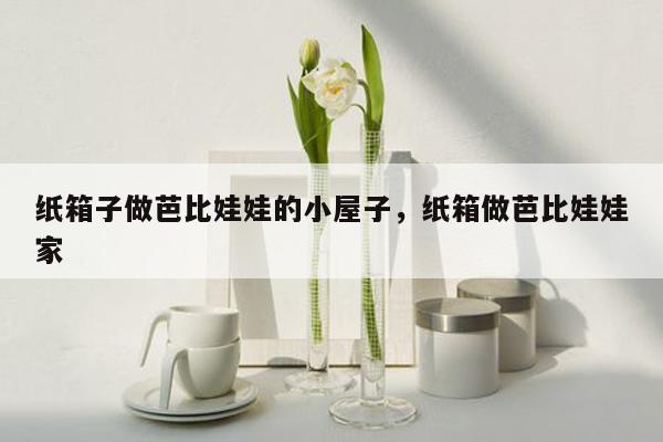 纸箱子做芭比娃娃的小屋子，纸箱做芭比娃娃家